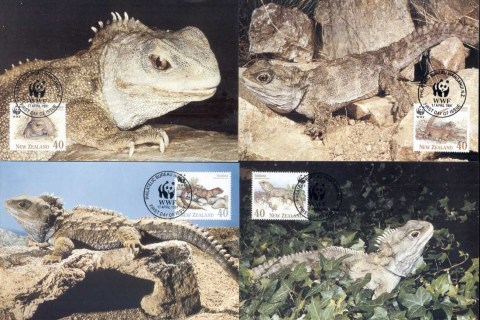 New Zealand 1991 WWF Tuatara, Reptile Maxicard