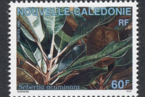 New Caledonia 1995 Plants