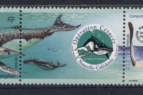 New Caledonia 2001 Marine Life, Operation Cetacean, Whales str