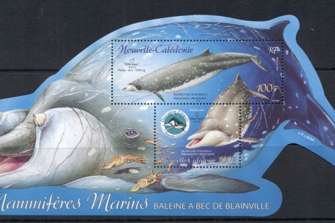 New Caledonia 2004 Marine Life, Operation cetacean, Whales