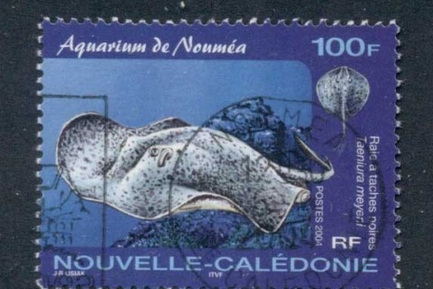 New Caledonia 2004 Marine Life, Rays