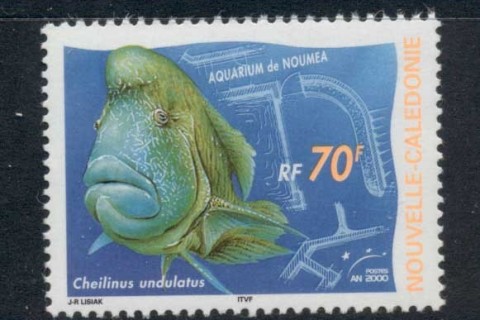 New Caledonia 2000 Noumea Aquarium 70f Wrasse