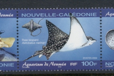 New Caledonia 2004 Marine Life Rays