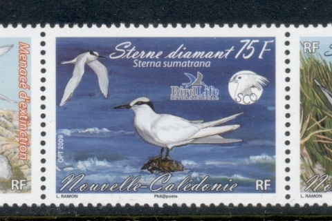 New Caledonia 2009 BirdLife Internationa