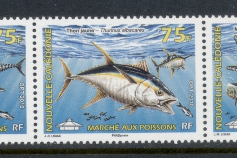 New Caledonia 2010 Marine Life Fish Sold at Local Markets