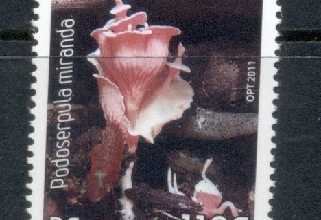 New Caledonia 2011 Flowers