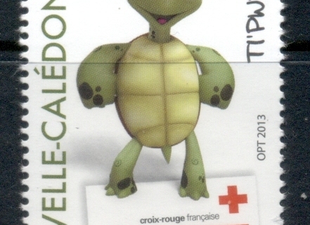 New Caledonia 2013 Red Cross South pacific Intervention Forum