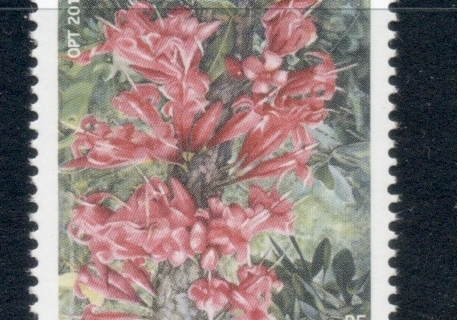 New Caledonia 2013 Flowering Shrub