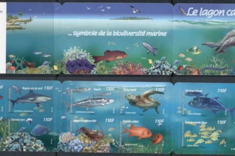 New Caledonia 2013 Marine Life in Lagoons P&S booklet