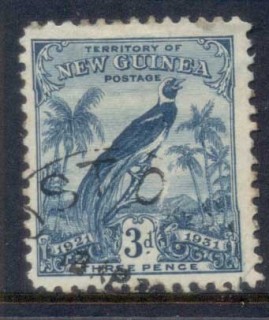 New-Guinea-1931-Bird-of-Paradise