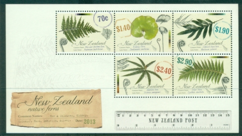 New-Zealand-2013-Native-Ferns-MS-MUH