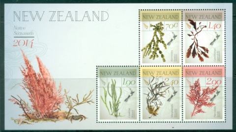 New-Zealand-2014-New-Zealand-Native-Seaweeds-MS-MUH