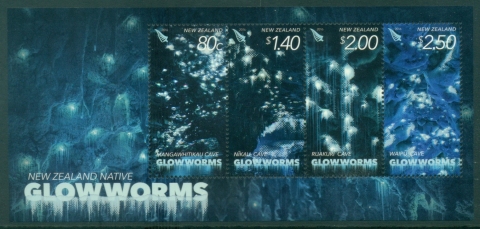 New-Zealand-2016-New-Zealand-Native-Glowworms-MS-MUH
