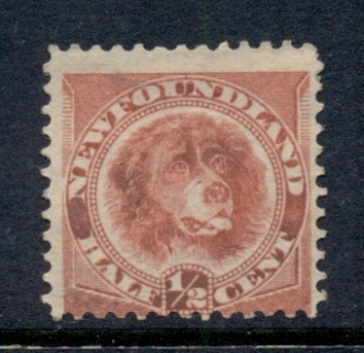 Newfoundland-1887-96-Newfoundland-dog-0-5c-red-FU