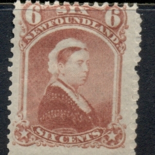 Newfoundland-1868-94-QV-Portrait-6c-dull-rose-pulled-perf-RHS-MLH