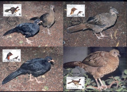 Nicaragua-1994 WWF Highland Quail, bird Maxicards