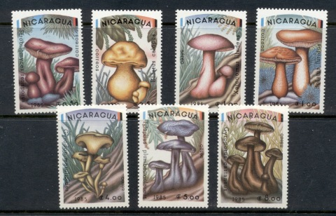 Nicaragua-1985-Funghi