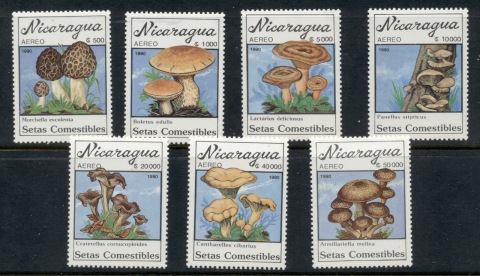 Nicaragua-1990-Funghi