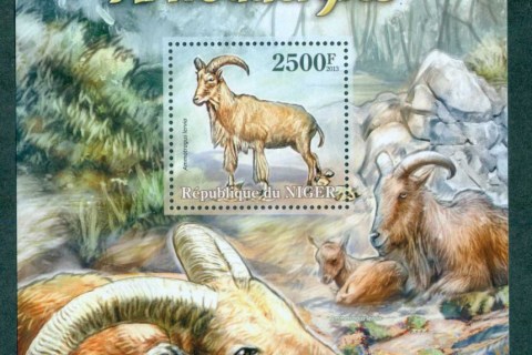 Niger 2013-African-Wildlife_6
