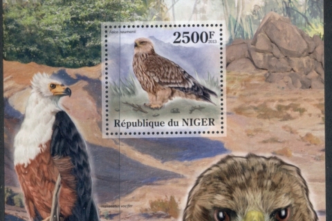 Niger 2013-Birds_1
