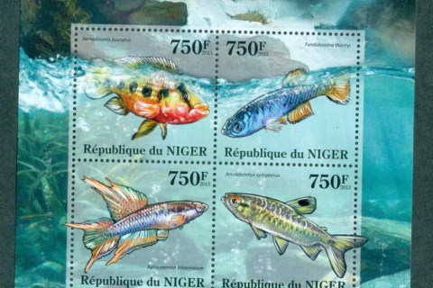 Niger 2013-Fish