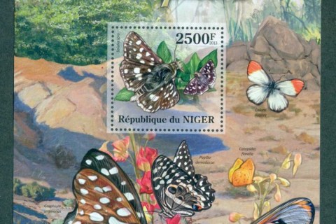 Niger 2013-Insects