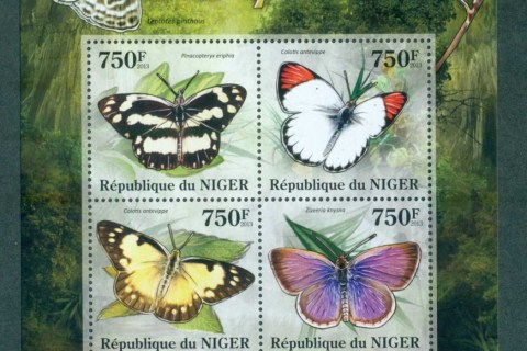 Niger 2013-Insects_2