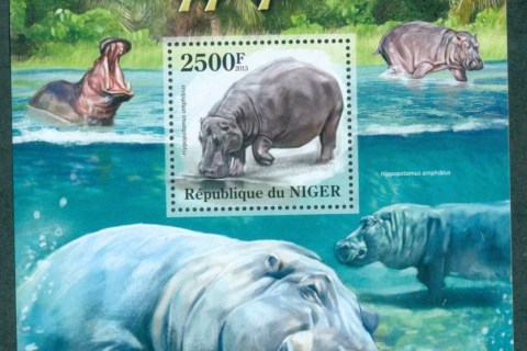 Niger-2013-African-Wildlife_11