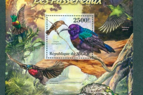 Niger-2013-Birds_1-2