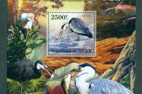 Niger-2013-Birds_6