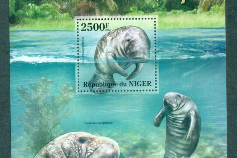 Niger-2013-Marine-Life