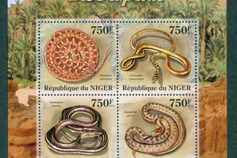 Niger-2013-Reptiles