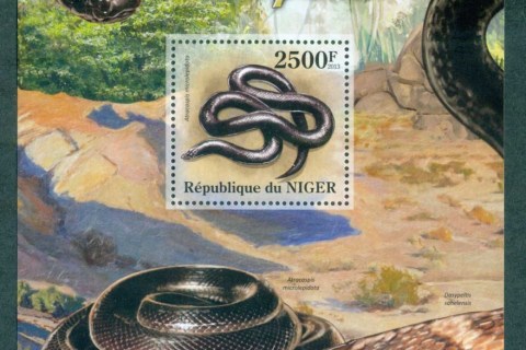 Niger-2013-Reptiles_1