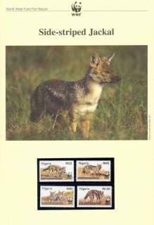 Nigeria-2003 WWF Side-striped Jackal