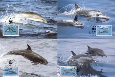 Niue-1993 WWF Pacific Dolphins Maxicards