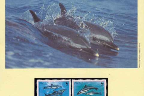 Niue-1993 WWF Pacific Dolphins