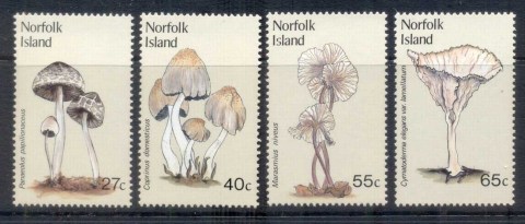 Norfolk-Is-1983-Funghi