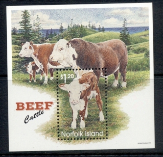 Norfolk-Is-1997-Beef-cattle-MS-MUH