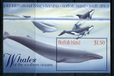 Norfolk-Is-1998-Marine-Life-Whales