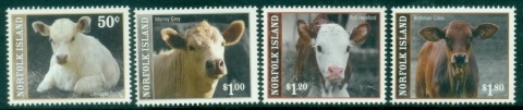 Norfolk-Is-2008-Cattle-MUH