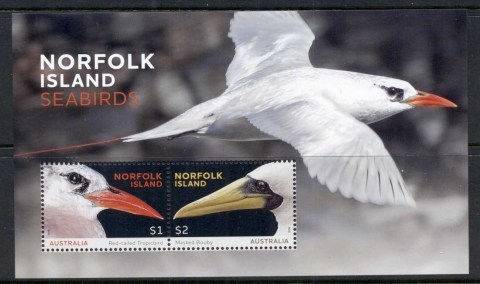 Norfolk-Is-2016-Seabirds-MUH-2