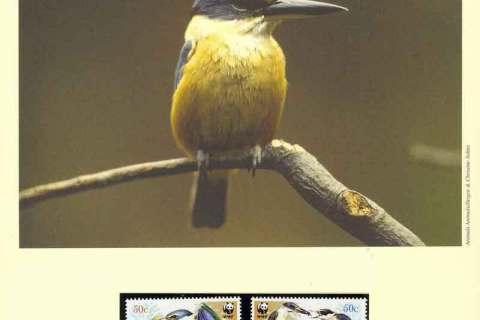 Norfolk-is-2004 WWF Birds