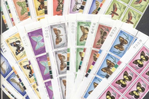 Norfolk-Is-1976-77-Insects-2