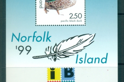 Norfolk-Is-1999-Pacific-Black-Duck