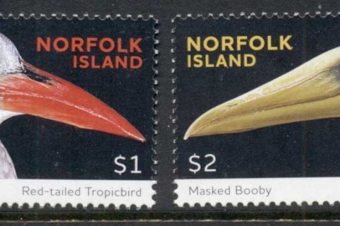 Norfolk-Is-2016-Seabirds-MUH