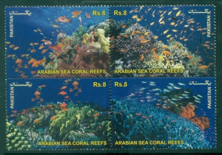 Pakistan-2012-Marine-Life-Arabian-Sea-Coral-Reefs-MUH
