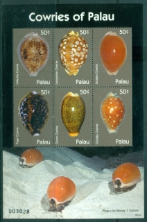 Palau-2006-Cowries-of-Palau-MS-MUH