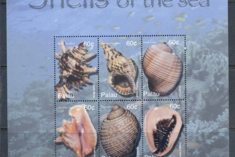 Palau-2003-Seashells-MS-MUH