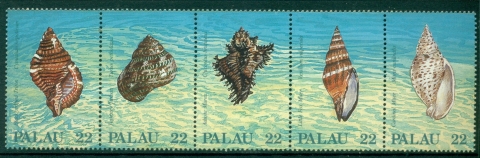 Palau-1987-Sea-Shells-MUH