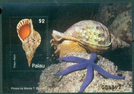 Palau-2007-Sea-Shells-Triton-Horn-MS-MUH